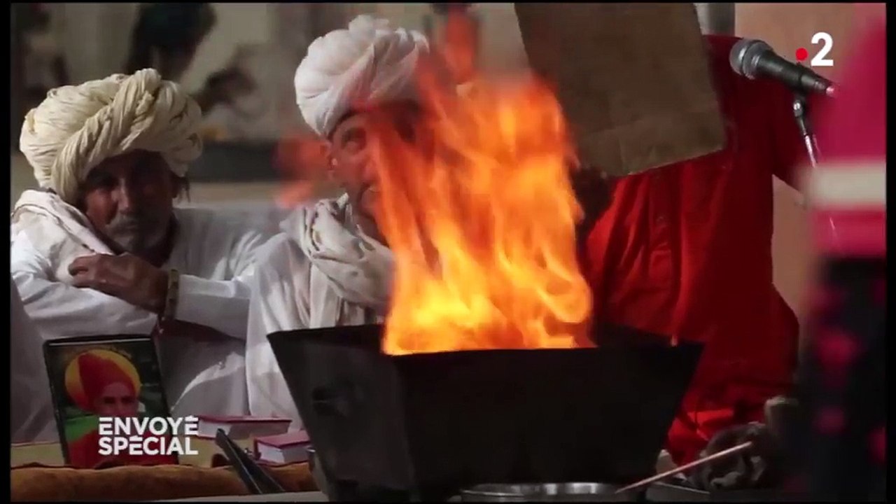 La biodiversité est leur religion : "Envoyé spécial" à la rencontre des Bishnoïs du Rajasthan