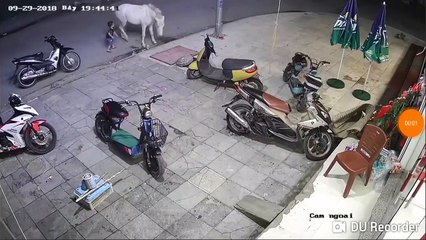 Voilà pourquoi il ne faut pas laisser des enfants s'approcher à un cheval dans la rue !