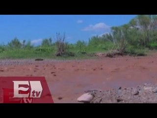 Nuevo derrame tóxico en Sonora / Vianey Esquinca