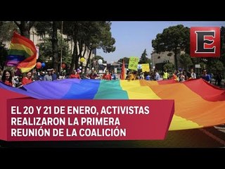 Punto y coma: Coalición Mexicana LGBTTTI
