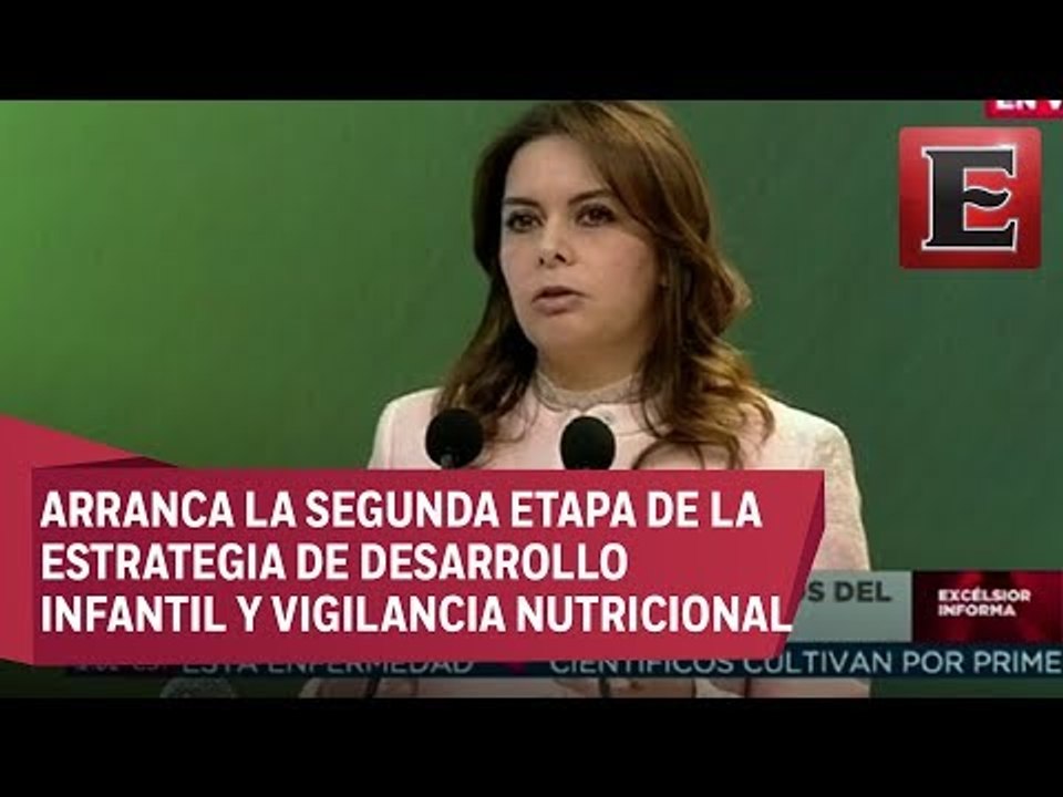 Gobierno federal presenta avances en los trabajos del Sistema Nacional DIF