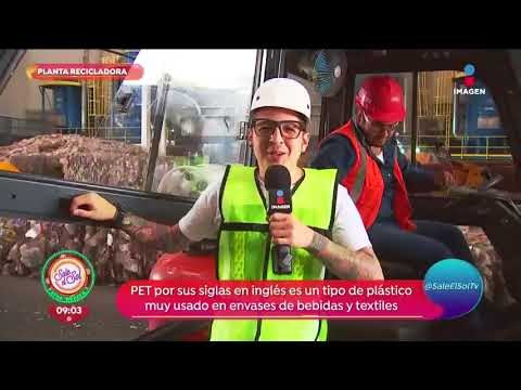 ¡Sajid nos lleva a la planta de reciclaje de PET más grande del mundo! | Sale el Sol
