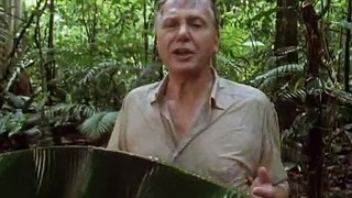 David Attenborough - Az Élet Megpróbáltatásai - 06