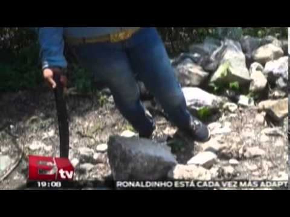 Hallan seis nuevas fosas clandestinas en Iguala / Excélsior informa