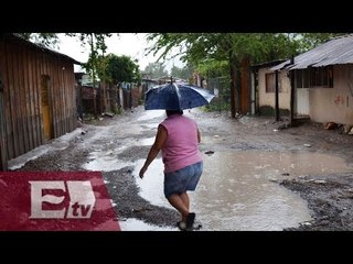 Declaran emergencia en 35 municipios de Guerrero por Trudy / Paola Virrueta