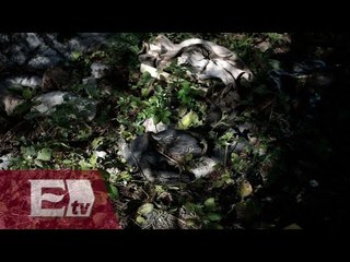 Fosas de Guerrero sin vigilancia y con basura / Vianey Esquinca