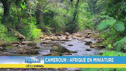 Cameroun : cette Afrique en miniature...