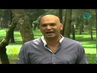 Horóscopos: para Libra / ¿Qué le depara a Libra el 24 de octubre 2014?