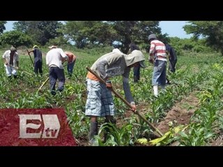 Producción y consumo de alimentos en América (Parte 2) / Análisis Global