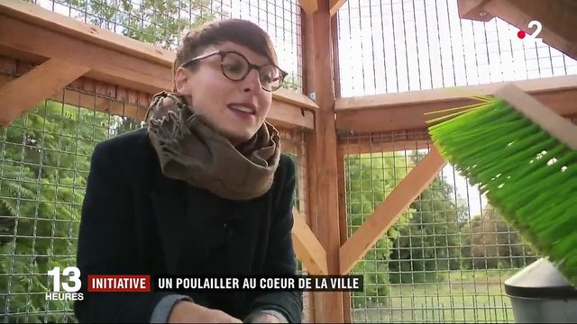 Réduction des déchets : un poulailler au cœur de la ville