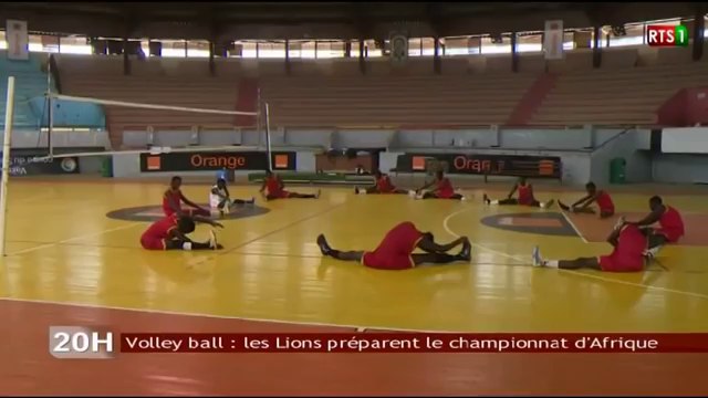 Volley ball : les Lions préparent le championnat d'Afrique