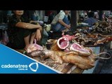 Emiten decreto que permite comer carne de gatos, perros y burros en Siria