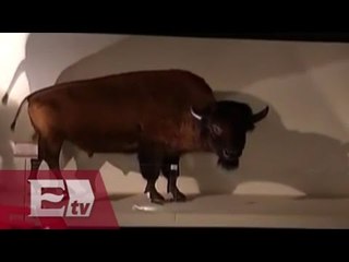 Oferta cultural del museo de Historia Natural / Excélsior informa