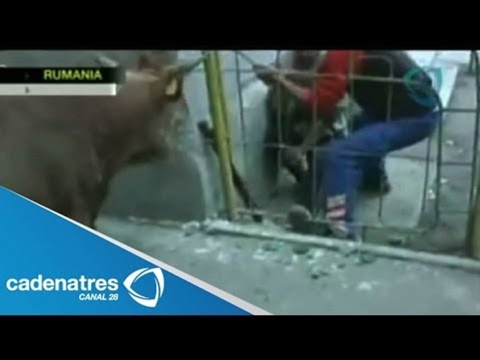 Toro ataca a un policía de tránsito de Rumania / Bull attacks a Romanian traffic police
