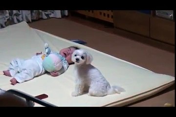 Little Puppies Do Nursing Lullaby For Newborn Baby Crying Very Cute
