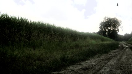 Eric Church - Solid (Audio)