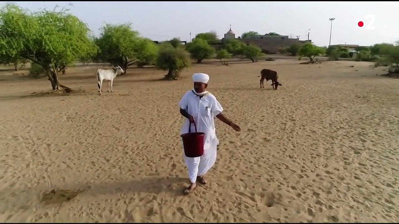 Inde : les Bishnoïs, champions de l'écologie