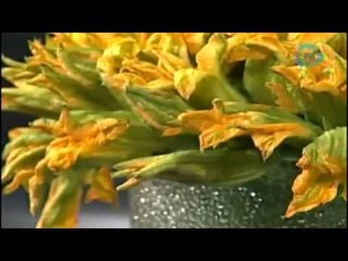 Flor de calabaza para atraer el dinero / Tips espirituales