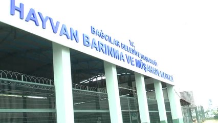 Genç Ensar'dan "Hayvanları Koruma Günü" Mesajı