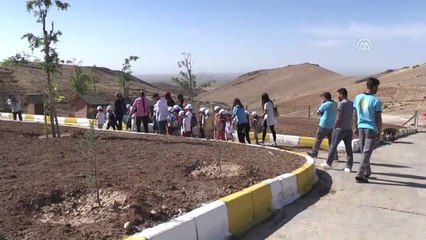 Mardin'de Öğrenciler Barınaktaki Hayvanlarla Buluştu