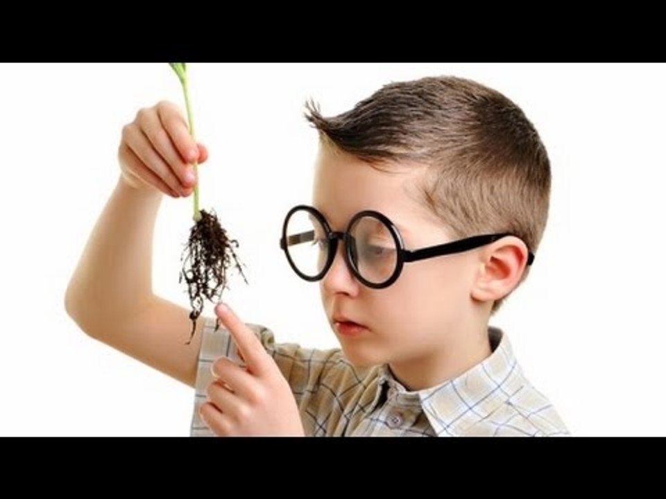 Cómo potencializar la inteligencia de nuestros hijos / Nuestro Día