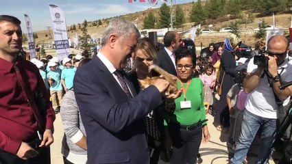 Malatya'da sokak hayvanlarına sıcak yuva