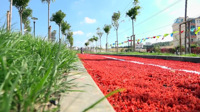 Orhan Veli ismi Çankaya’da yaşayacak