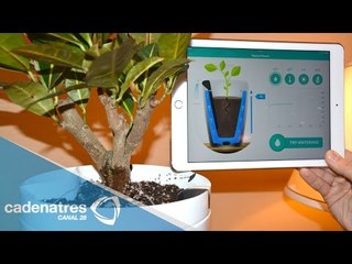 Maceta inteligente Parrot pot / Tecnología con Wikichava