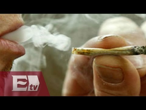 Sistema nacional de salud asegura que no criminalizará a usuarios de drogas / Titulares de la noche