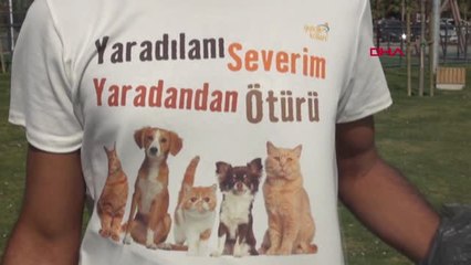 İzmir Ak Partili Gençler, Sokak Hayvanlarına Mama Dağıttı