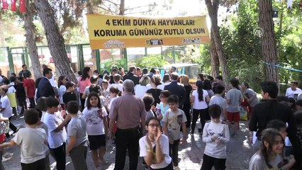 Şempanze 'Can' çocuklarla buluştu - GAZİANTEP