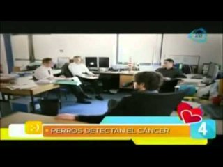 Las 5 maravillas del mundo