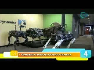 Las cinco maravillas del día / Nuestro día