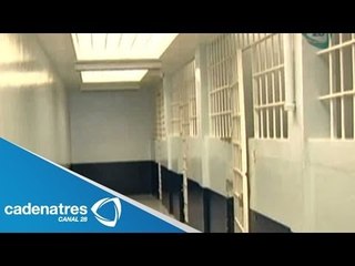 El Torito, sitio de resguardo para los automovilistas infractores en el DF