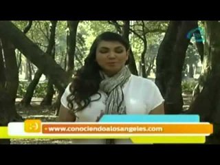 Decreto de hoy para invocar al arcángel de la cábala