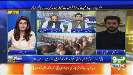 There Will Be Alliance Between PPP And PML(N) in Upcoming Election,,Nadir Gabool