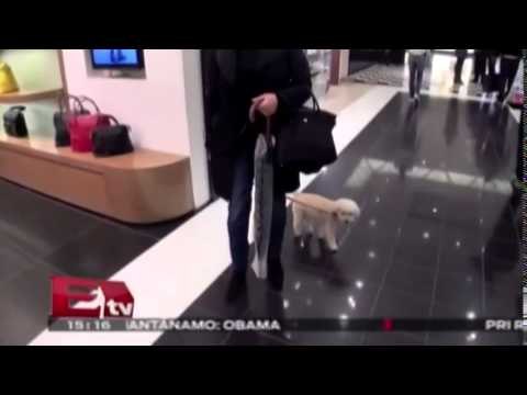 Recomendaciones para las personas que salgan de vacaciones