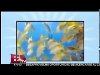 SCT inicia en Enero de 2015 entrega de Tv digitales en el Df y Edomex :Excelsior en la media