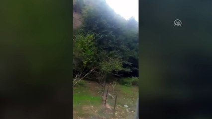 Şantiye alanına gelen yavru ayı işçiler tarafından görüntülendi - KARABÜK