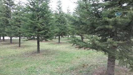 İnegöl'de Otopark ve Çevre Düzenleme Çalışmaları Tüm Hızıyla Sürüyor