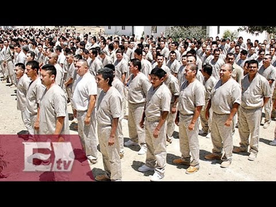 Cárceles de México tienen sobrepoblación de 64 mil reos / Todo México