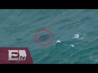 Hallan cola de avión de AirAsia / Vianey Esquinca
