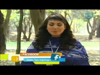 Decreto de hoy para invocar al ángel de la cábala