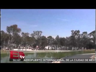 Puebla cumple compromisos de cuidado del medio ambiente: Semarnat  / Titulares de la tarde