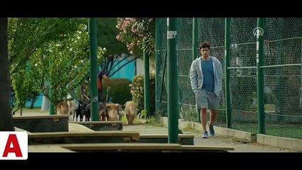 Organize İşler 2’den ilk fragman yayaınlandı