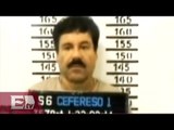 Interponen amparo en contra de extradición del Chapo/Excélsior informa
