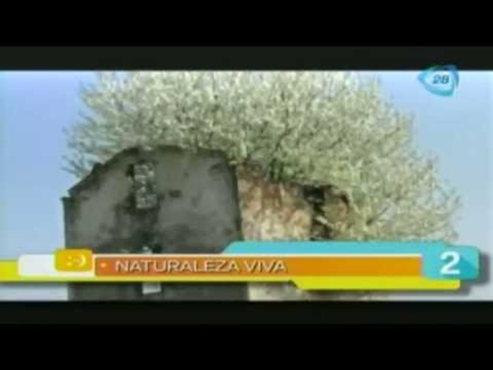 Las 5 maravillas del día- 25 de marzo