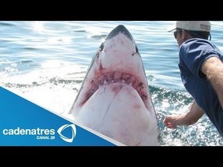 Hombre sobrevive a ataque de un tiburón en Nueva Zelanda