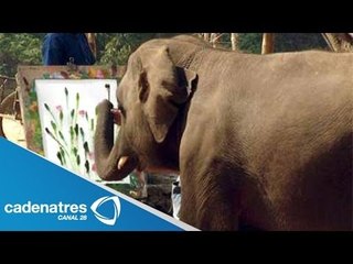 ¡¡¡INCREÍBLE!!! La elefante que pinta asombosos lienzos con su trompa