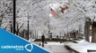 Estados Unidos paralizado tras frente frío que golpea el noreste del país